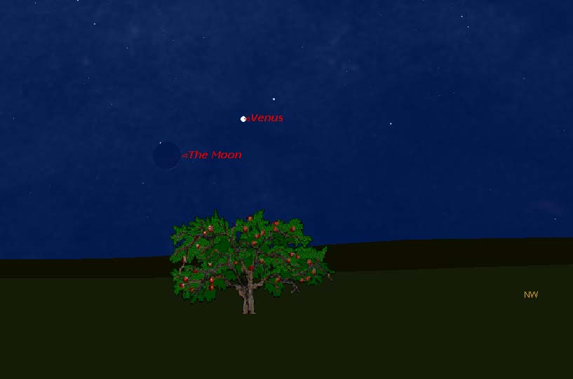 Venus and Crescent Moon to Perform Final Night Sky Show